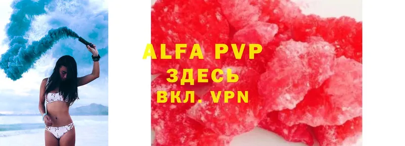 A-PVP СК  Новосиль 